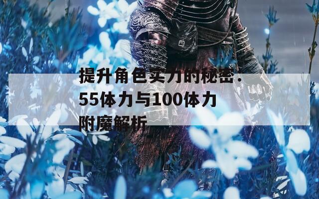 提升角色实力的秘密：55体力与100体力附魔解析