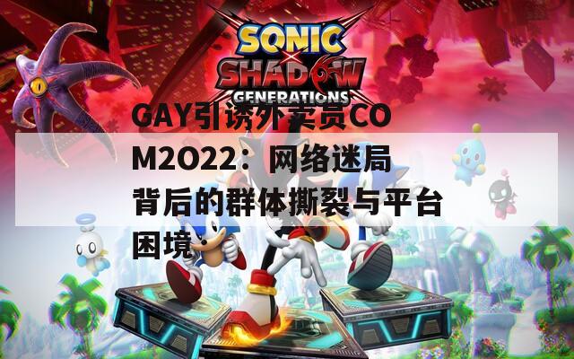 GAY引诱外卖员COM2O22：网络迷局背后的群体撕裂与平台困境