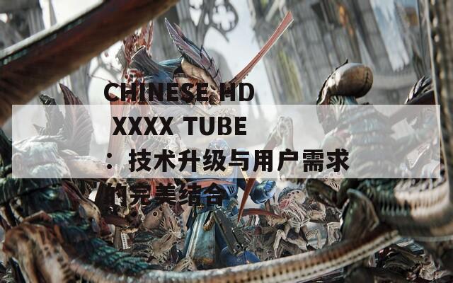 CHINESE HD XXXX TUBE：技术升级与用户需求的完美结合