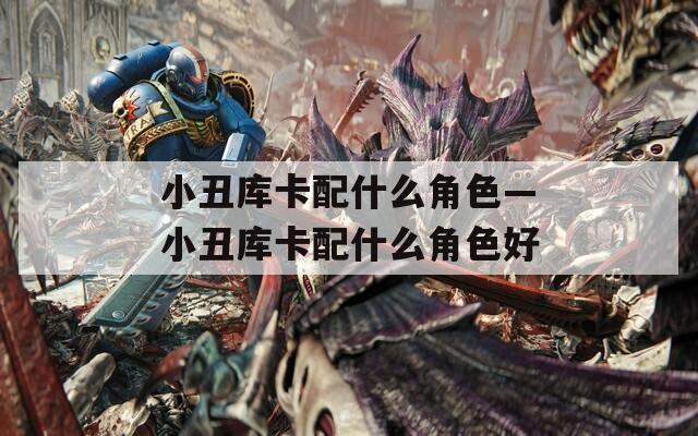 小丑库卡配什么角色—小丑库卡配什么角色好