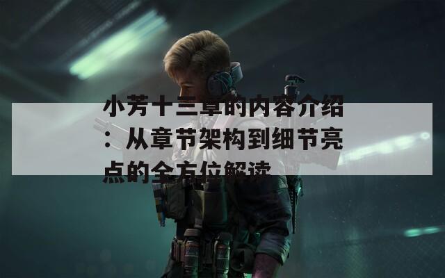 小芳十三章的内容介绍：从章节架构到细节亮点的全方位解读