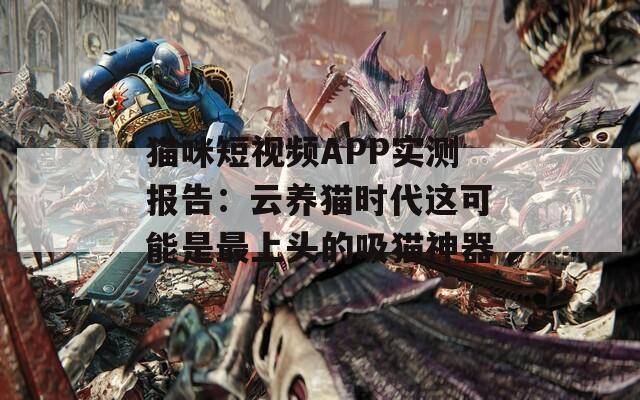 猫咪短视频APP实测报告：云养猫时代这可能是最上头的吸猫神器