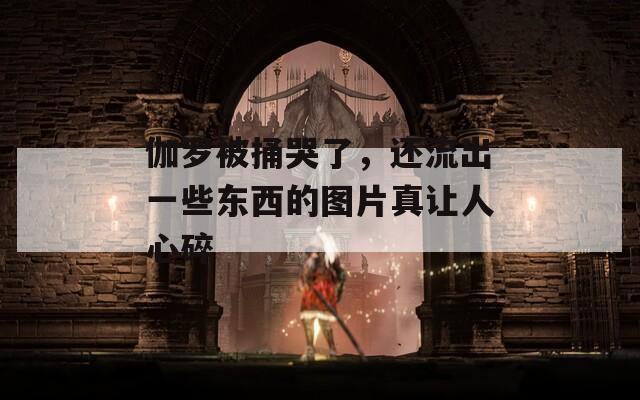 伽罗被捅哭了，还流出一些东西的图片真让人心碎