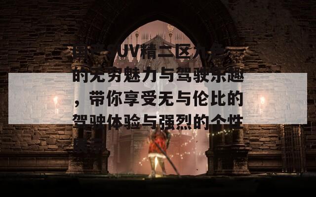 国产SUV精二区九色的无穷魅力与驾驶乐趣，带你享受无与伦比的驾驶体验与强烈的个性展示