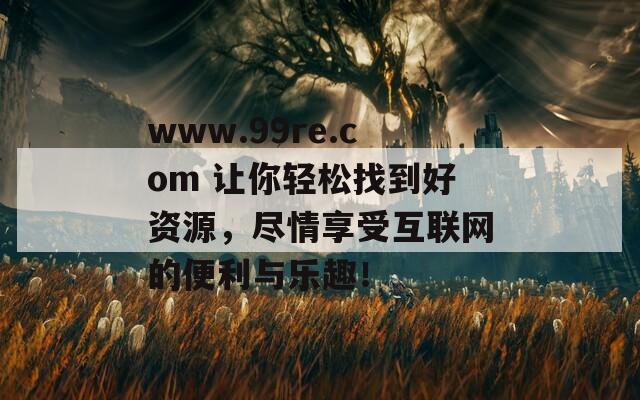 www.99re.com 让你轻松找到好资源，尽情享受互联网的便利与乐趣！
