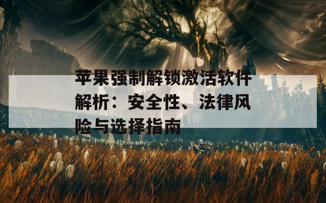 苹果强制解锁激活软件解析：安全性、法律风险与选择指南
