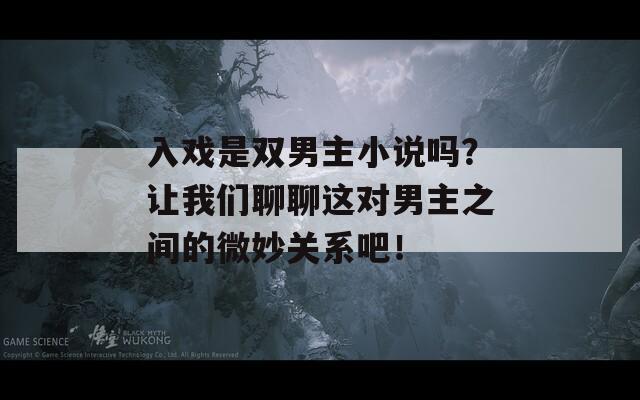 入戏是双男主小说吗？让我们聊聊这对男主之间的微妙关系吧！