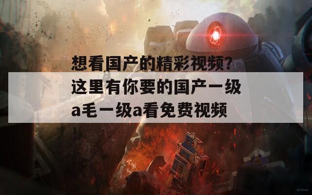 想看国产的精彩视频？这里有你要的国产一级a毛一级a看免费视频！