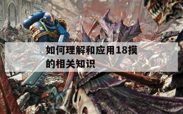 如何理解和应用18摸的相关知识