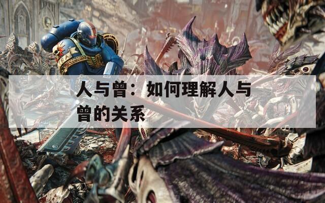 人与曾：如何理解人与曾的关系
