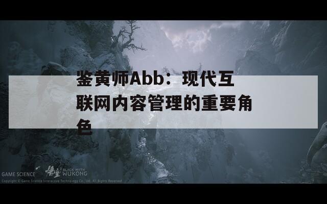 鉴黄师Abb：现代互联网内容管理的重要角色
