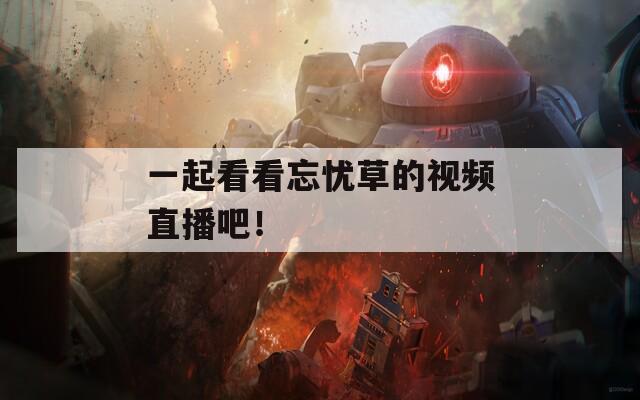 一起看看忘忧草的视频直播吧！