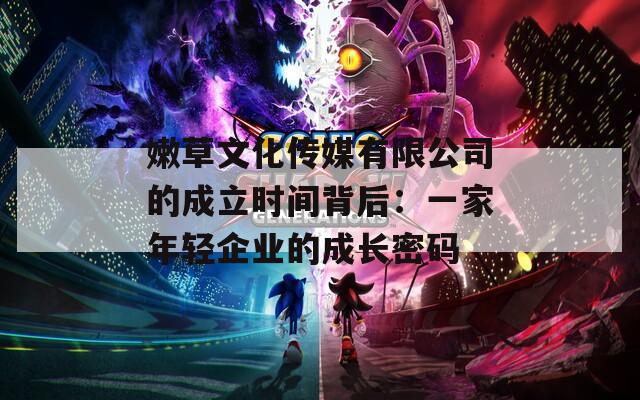 嫩草文化传媒有限公司的成立时间背后：一家年轻企业的成长密码