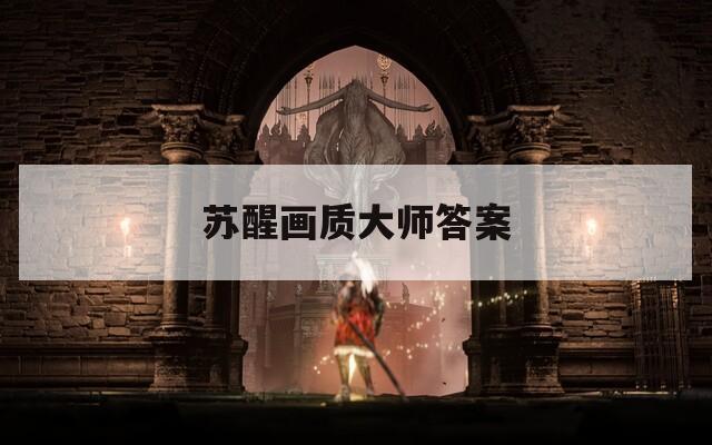 苏醒画质大师答案