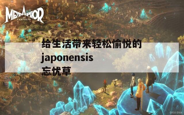 给生活带来轻松愉悦的japonensis忘忧草