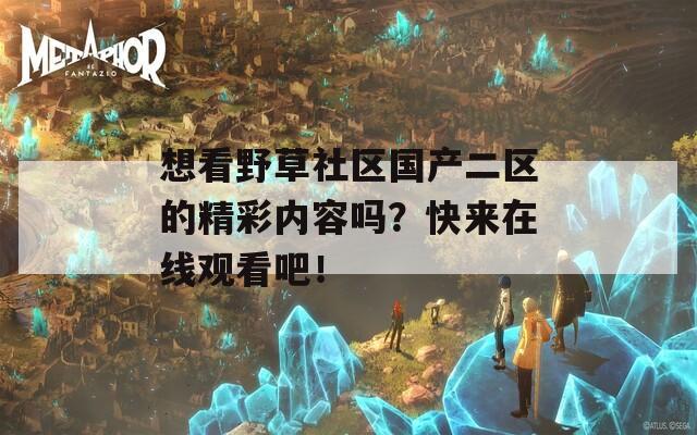 想看野草社区国产二区的精彩内容吗？快来在线观看吧！