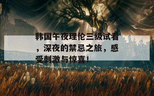 韩国午夜理伦三级试看，深夜的禁忌之旅，感受刺激与惊喜！