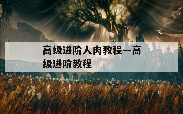 高级进阶人肉教程—高级进阶教程