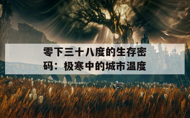 零下三十八度的生存密码：极寒中的城市温度