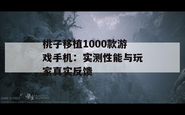 桃子移植1000款游戏手机：实测性能与玩家真实反馈