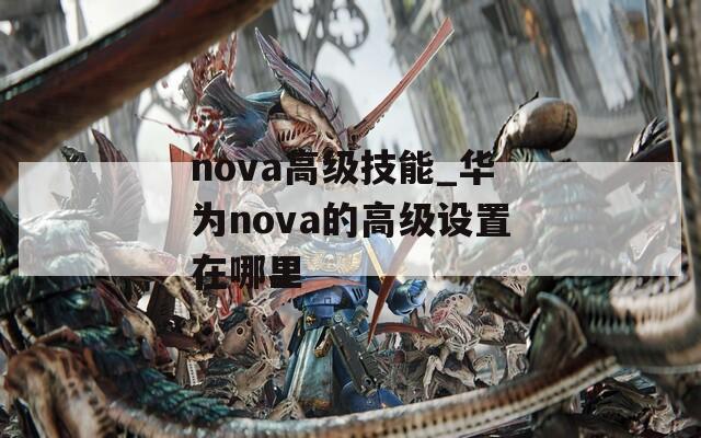 nova高级技能_华为nova的高级设置在哪里