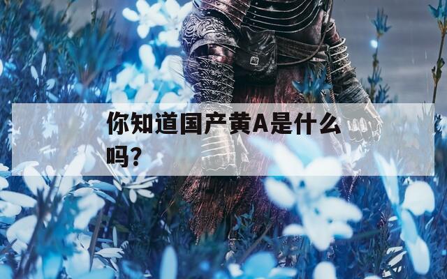 你知道国产黄A是什么吗？