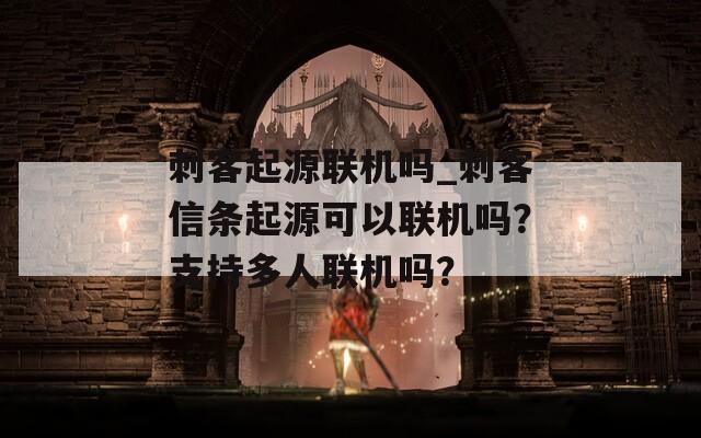 刺客起源联机吗_刺客信条起源可以联机吗？支持多人联机吗？
