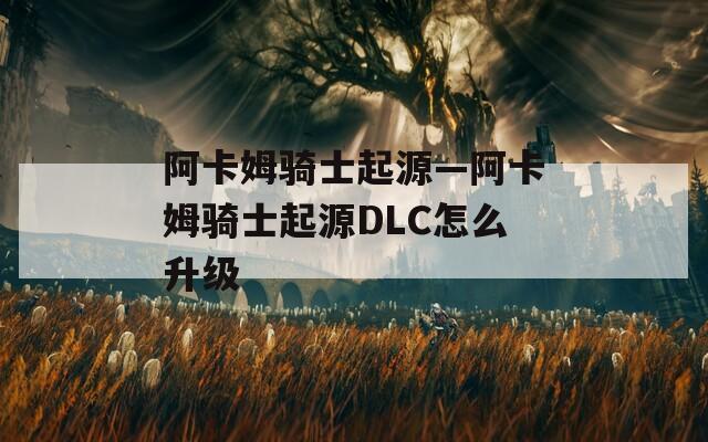 阿卡姆骑士起源—阿卡姆骑士起源DLC怎么升级