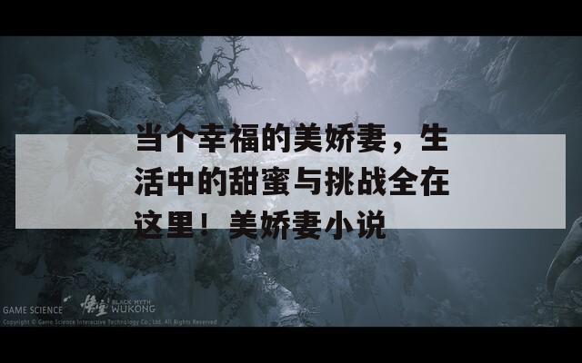 当个幸福的美娇妻，生活中的甜蜜与挑战全在这里！美娇妻小说
