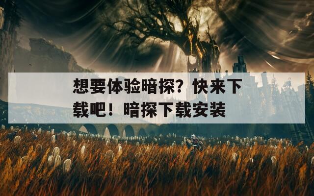 想要体验暗探？快来下载吧！暗探下载安装