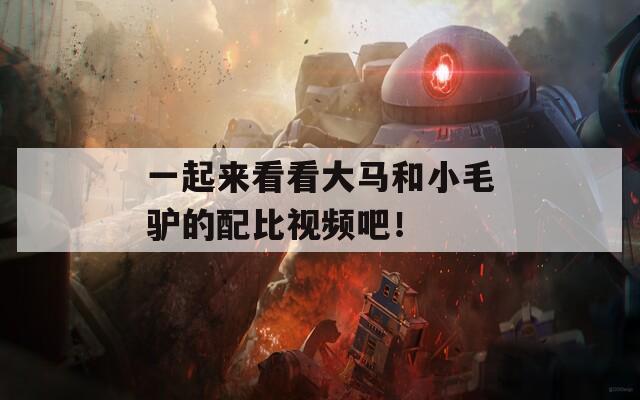 一起来看看大马和小毛驴的配比视频吧！