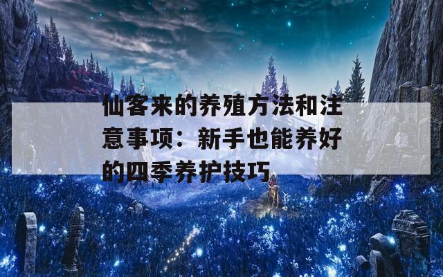 仙客来的养殖方法和注意事项：新手也能养好的四季养护技巧