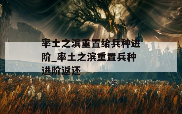 率土之滨重置给兵种进阶_率土之滨重置兵种进阶返还