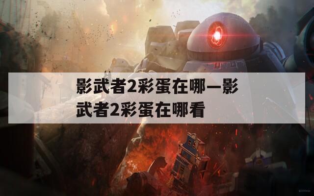 影武者2彩蛋在哪—影武者2彩蛋在哪看