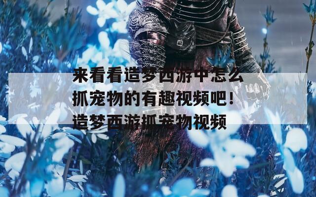 来看看造梦西游中怎么抓宠物的有趣视频吧！造梦西游抓宠物视频