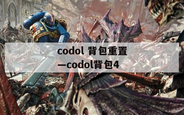 codol 背包重置—codol背包4
