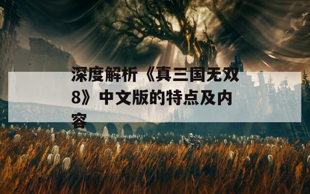深度解析《真三国无双8》中文版的特点及内容