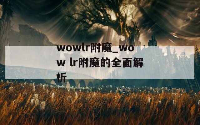 wowlr附魔_wow lr附魔的全面解析