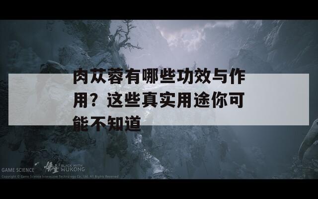 肉苁蓉有哪些功效与作用？这些真实用途你可能不知道