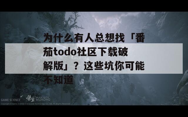为什么有人总想找「番茄todo社区下载破解版」？这些坑你可能不知道